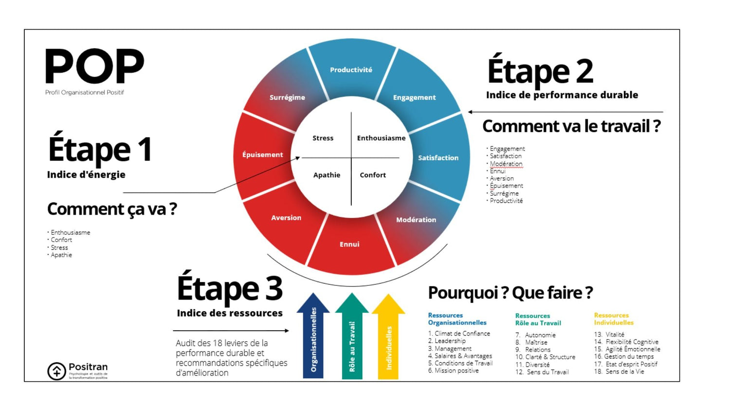 Le Profil Organisationnel Positif