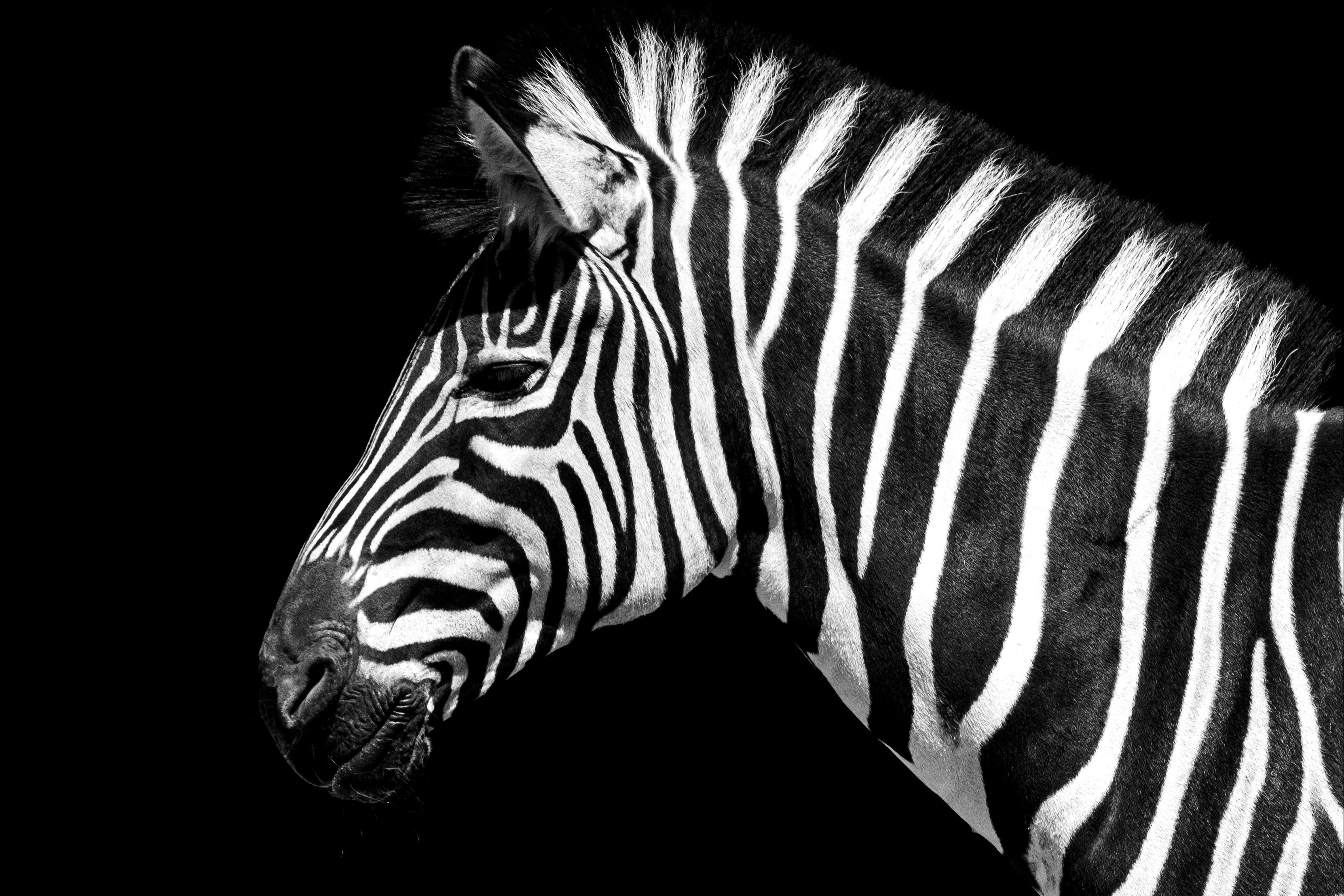 Avaliação Digital Individual - SOLO+: Descobrindo meus pontos fortes