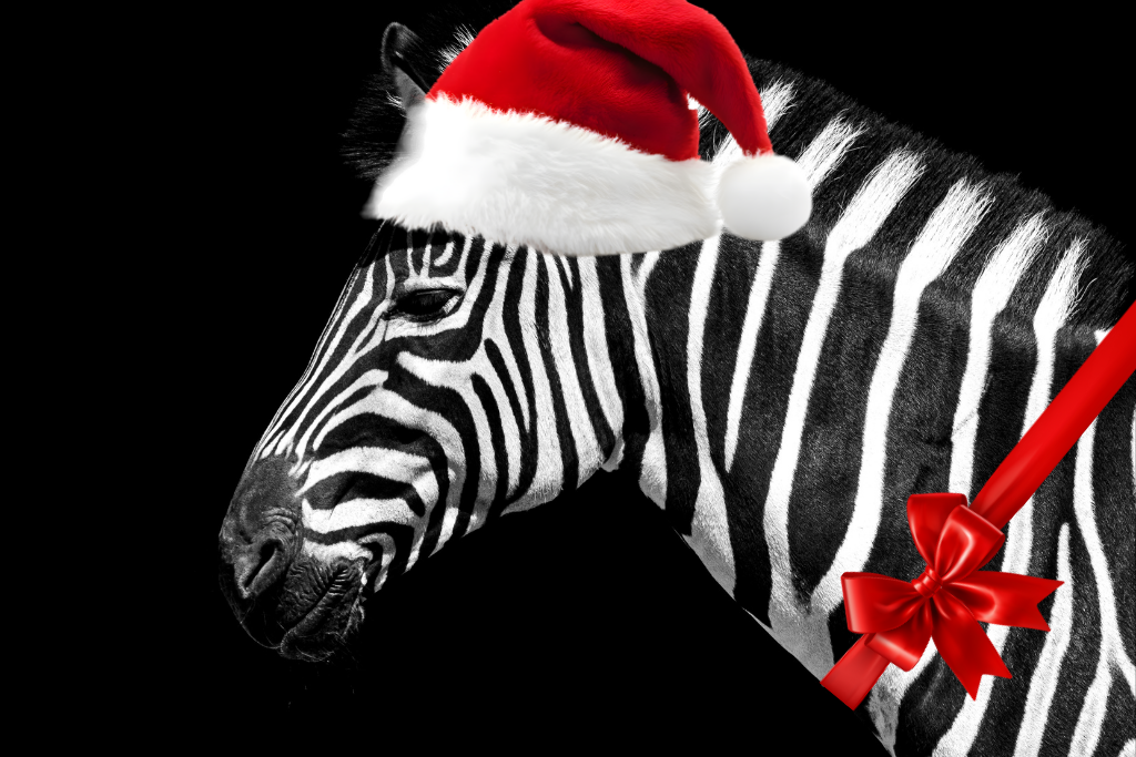 Diagnostic individuel numérique - SOLO+ : A la découverte de mes forces