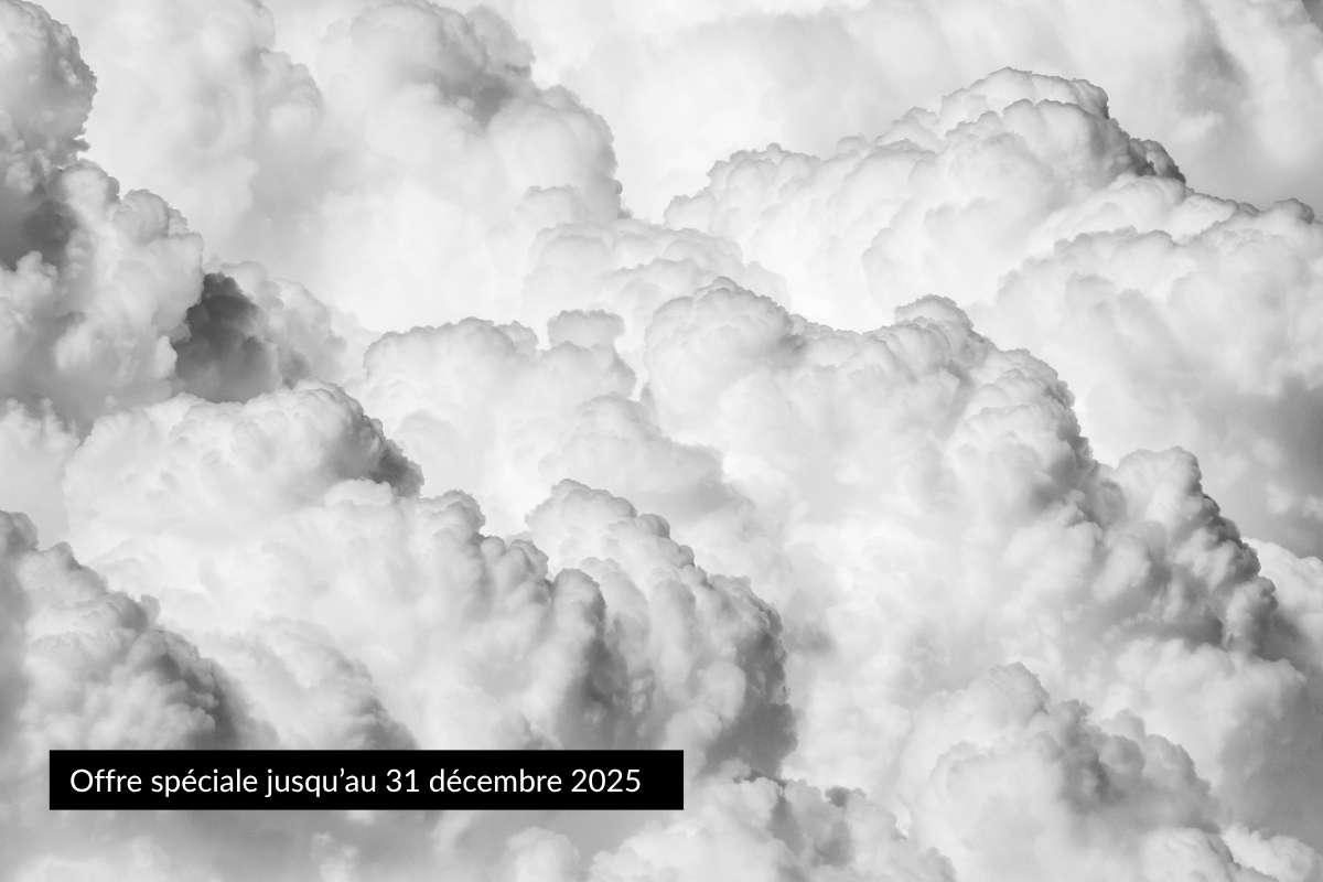 Individual Digital Diagnostic - SOLO 360+: My strengths through the eyes of others