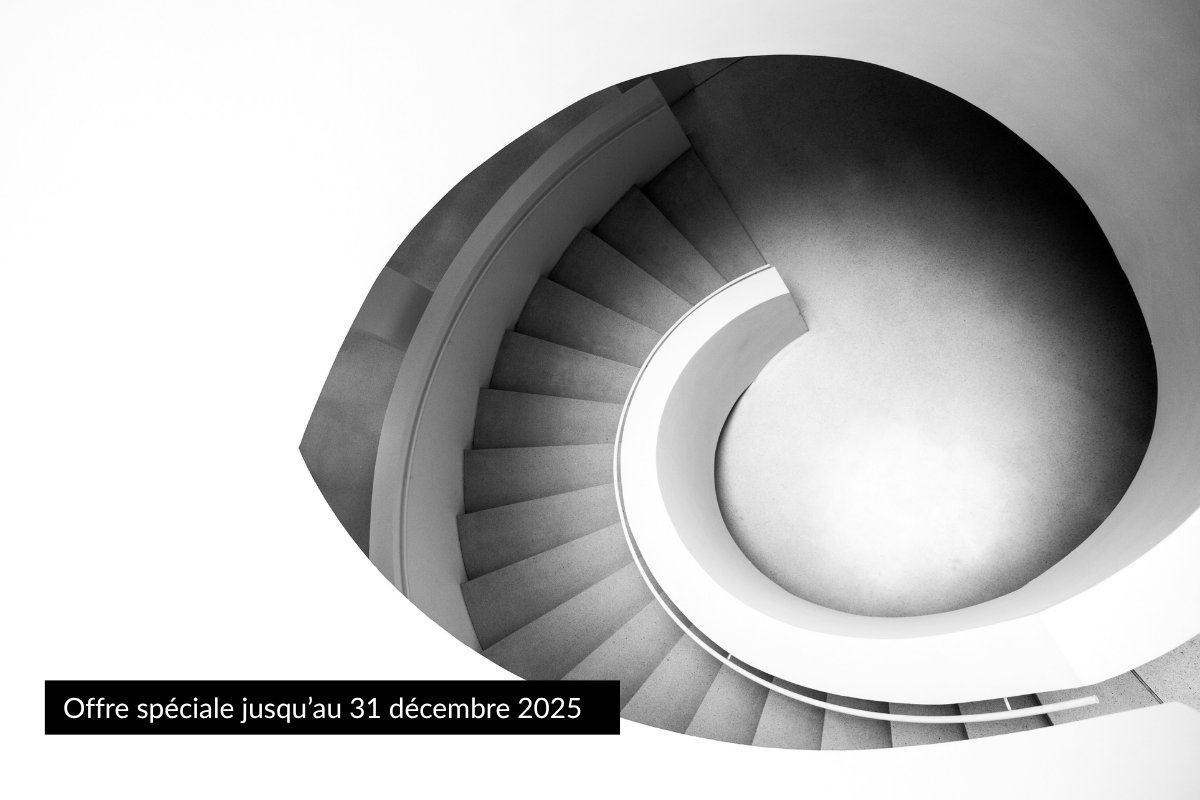 Digital organisational diagnostic - TEAMSCOPE+: Capitalising on my team's strengths dynamics