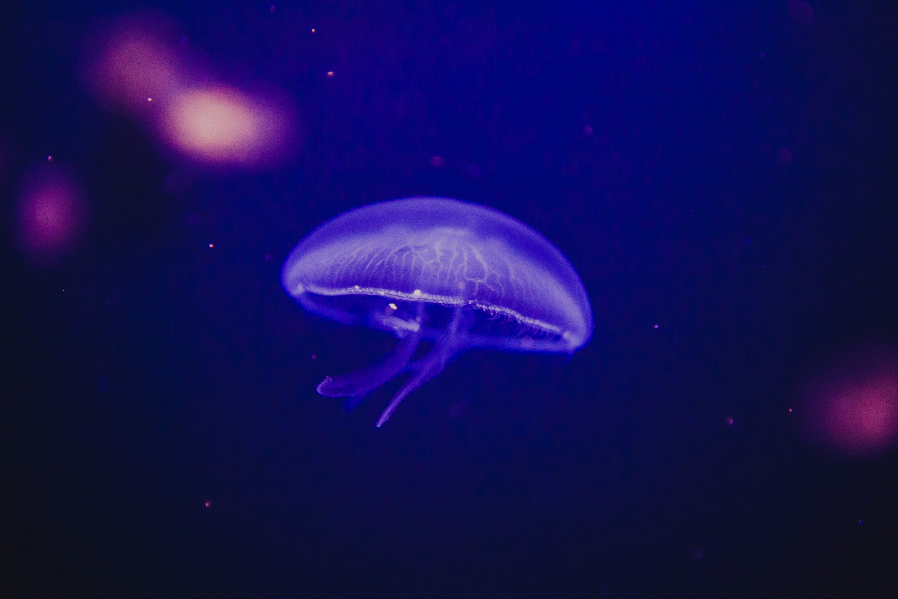 Formation Facilitation - Facilitateur Certifié SPARK Résilience® 1/2